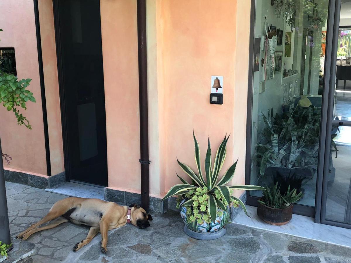 La Casa Di Sissi B&B Sanremo Exterior photo